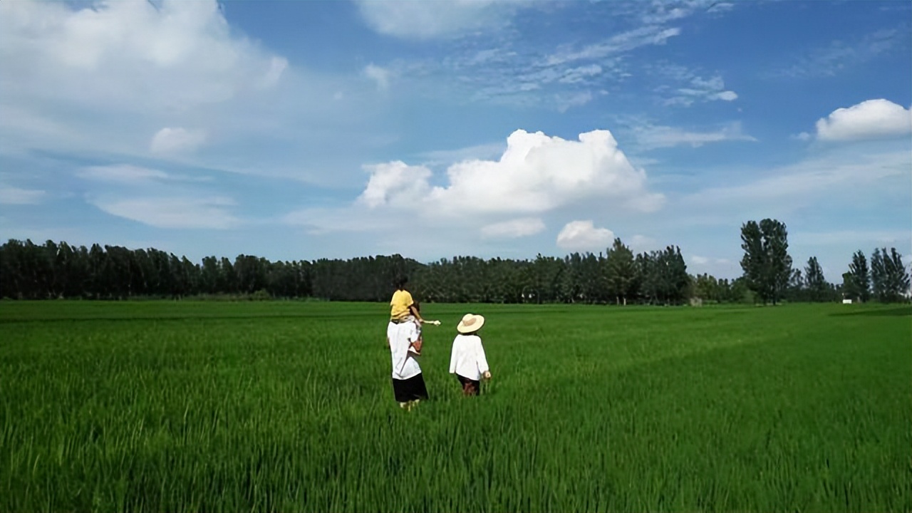 Không mua nhà thành phố, cặp vợ chồng 33 tuổi biến sân quê thành "phòng tắm nắng" và chọn một kiểu tự do tài chính khiến dân mạng tranh luận- Ảnh 15.