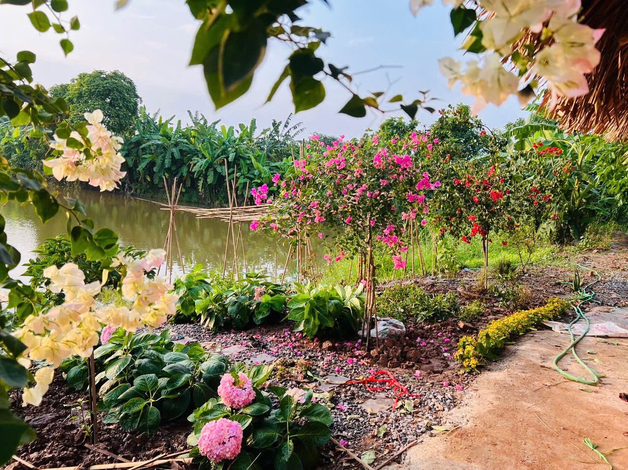 Năm Ất Tỵ ghi nhận một cơn bão mang tên "Áp-phi-li-ết": Có người "đổi đời", cũng có người bỏ cuộc giữa chừng - Ảnh 3.