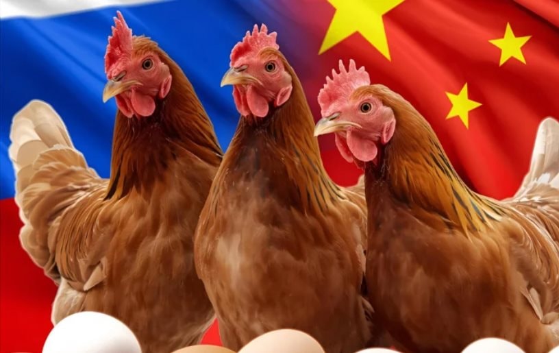 Chứng kiến hiện tượng chưa từng có với Trung Quốc, Nga đưa ra cảnh báo- Ảnh 1.