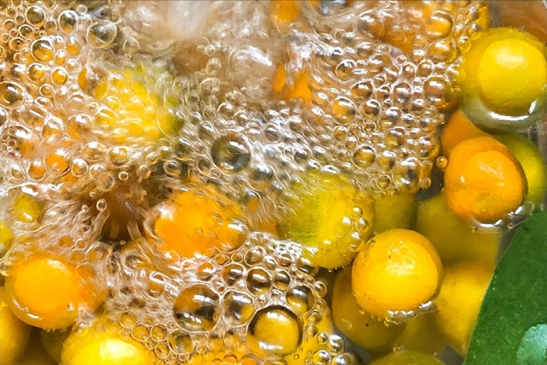 Loại cây "may mắn" ngày Tết của người Việt hóa ra quả cũng là vị thuốc bổ nhuận phổi, tiêu đờm, tốt cho tiêu hóa - Ảnh 3.