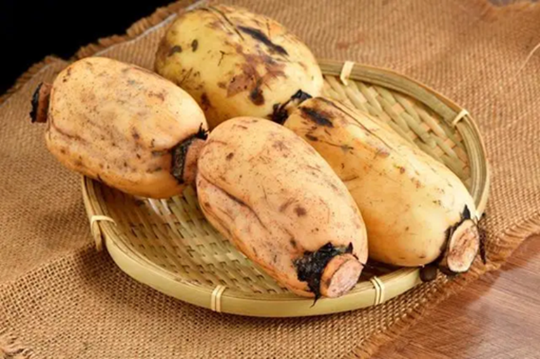 7 thực phẩm “càng ăn càng dễ giảm cân”: Vị trí số 1 có thể nằm ngay trong bữa cơm nhà bạn- Ảnh 3.