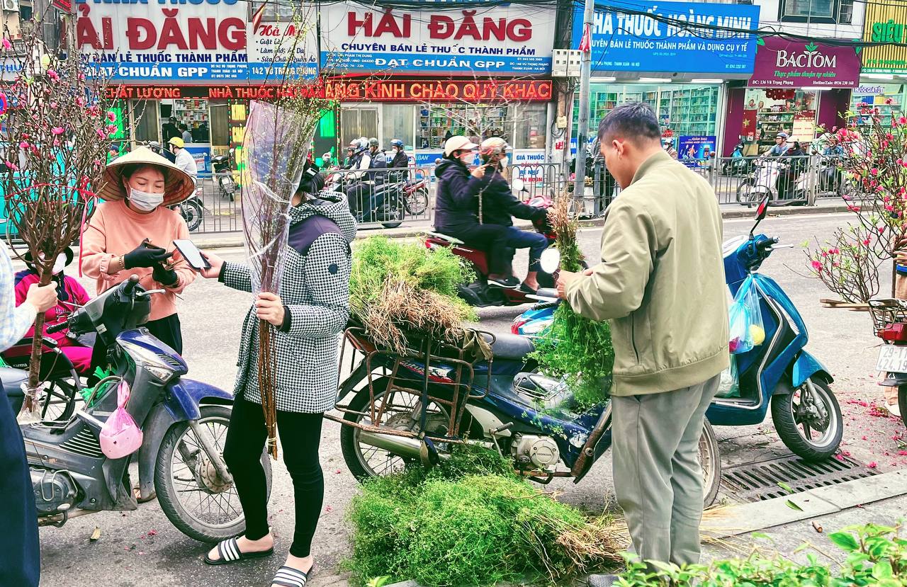 Không phải mai đào rực rỡ, đây mới là mùi hương "gây thương nhớ" nhất tháng Chạp, xoa dịu mọi giông bão năm cũ- Ảnh 7.