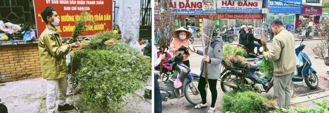 Không phải mai đào rực rỡ, đây mới là mùi hương "gây thương nhớ" nhất tháng Chạp, xoa dịu mọi giông bão năm cũ- Ảnh 5.