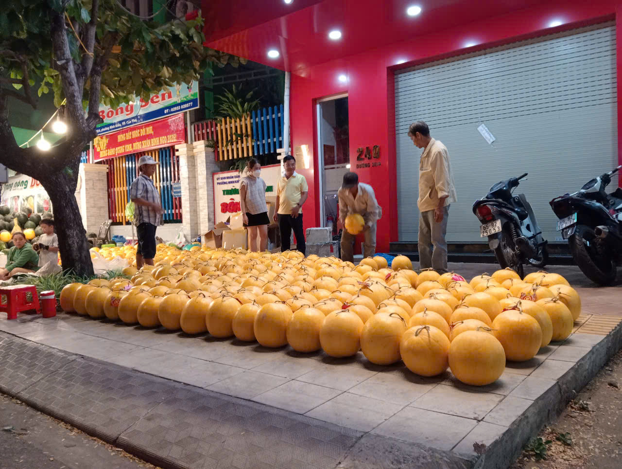 Dưa hấu Cần Thơ giảm giá kỷ lục 8 . 000 Đồng / kg trước Tết Nguyên đán 2026 - Ảnh 4.