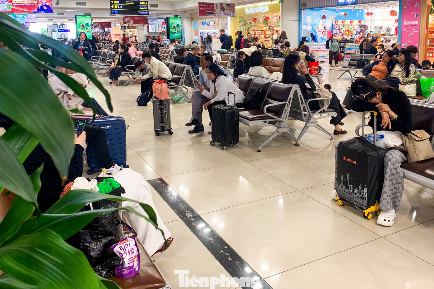 Lạ thường sân bay Nội Bài sáng 29 Tết- Ảnh 11.