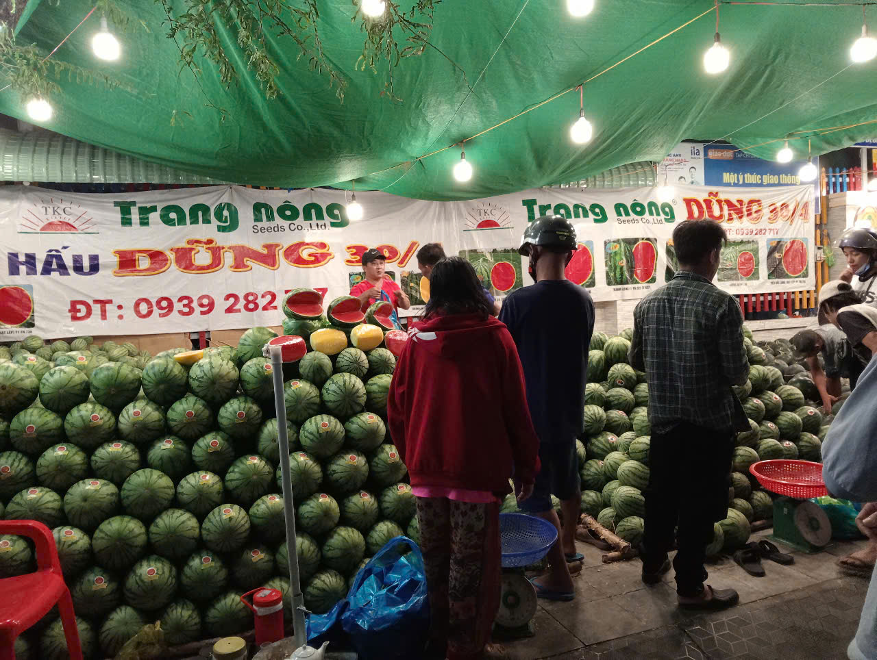 Dưa hấu Cần Thơ giảm giá kỷ lục 8 . 000 Đồng / kg trước Tết Nguyên đán 2026 - Ảnh 12.