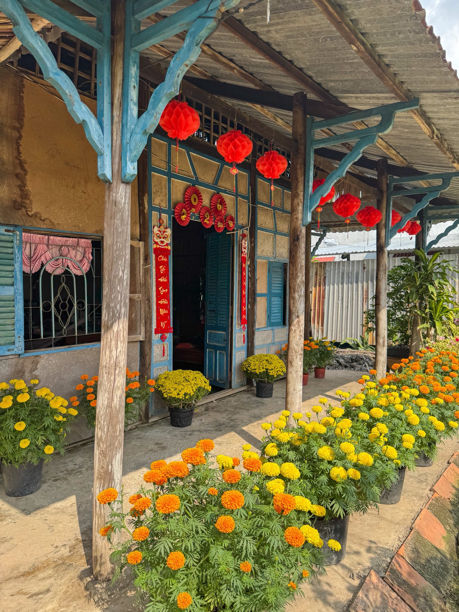 Mùng 1 Tết, ghé thăm căn nhà miền Tây với không khí đầu năm ngập sắc xuân: Hoa nở kín hiên, trái trĩu cành- Ảnh 3.