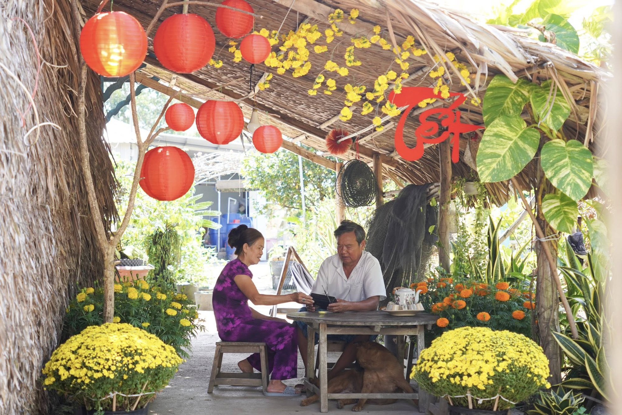 Mùng 1 Tết, ghé thăm căn nhà miền Tây với không khí đầu năm ngập sắc xuân: Hoa nở kín hiên, trái trĩu cành- Ảnh 6.