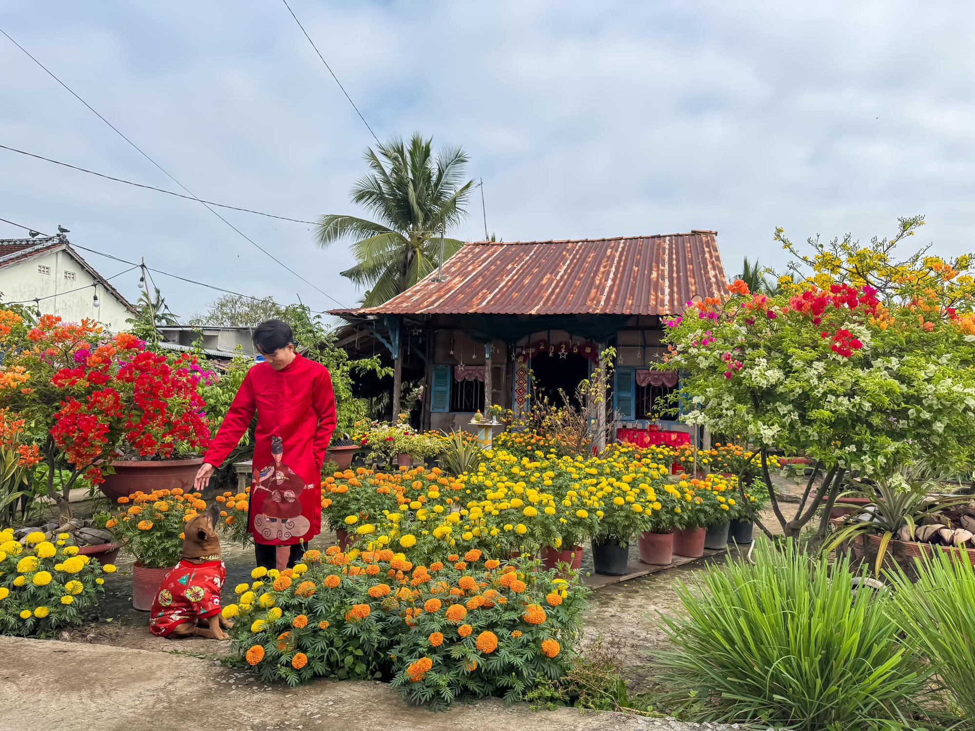 Mùng 1 Tết, ghé thăm căn nhà miền Tây với không khí đầu năm ngập sắc xuân: Hoa nở kín hiên, trái trĩu cành- Ảnh 20.