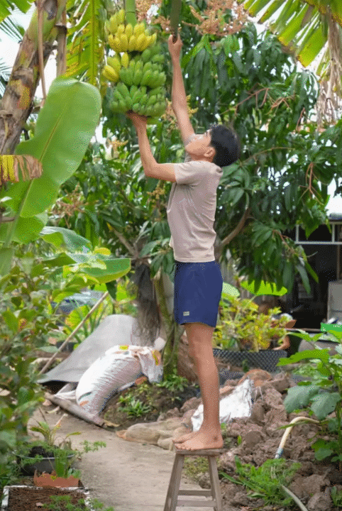 Mùng 1 Tết, ghé thăm căn nhà miền Tây với không khí đầu năm ngập sắc xuân: Hoa nở kín hiên, trái trĩu cành- Ảnh 13.