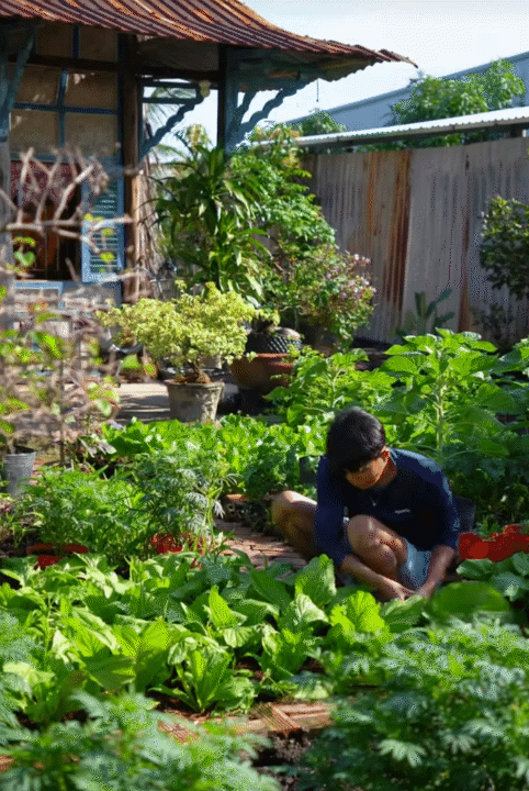Mùng 1 Tết, ghé thăm căn nhà miền Tây với không khí đầu năm ngập sắc xuân: Hoa nở kín hiên, trái trĩu cành- Ảnh 14.