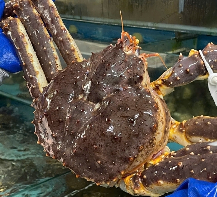 Những thú chơi xa xỉ ngày Tết của đại gia Việt- Ảnh 6.