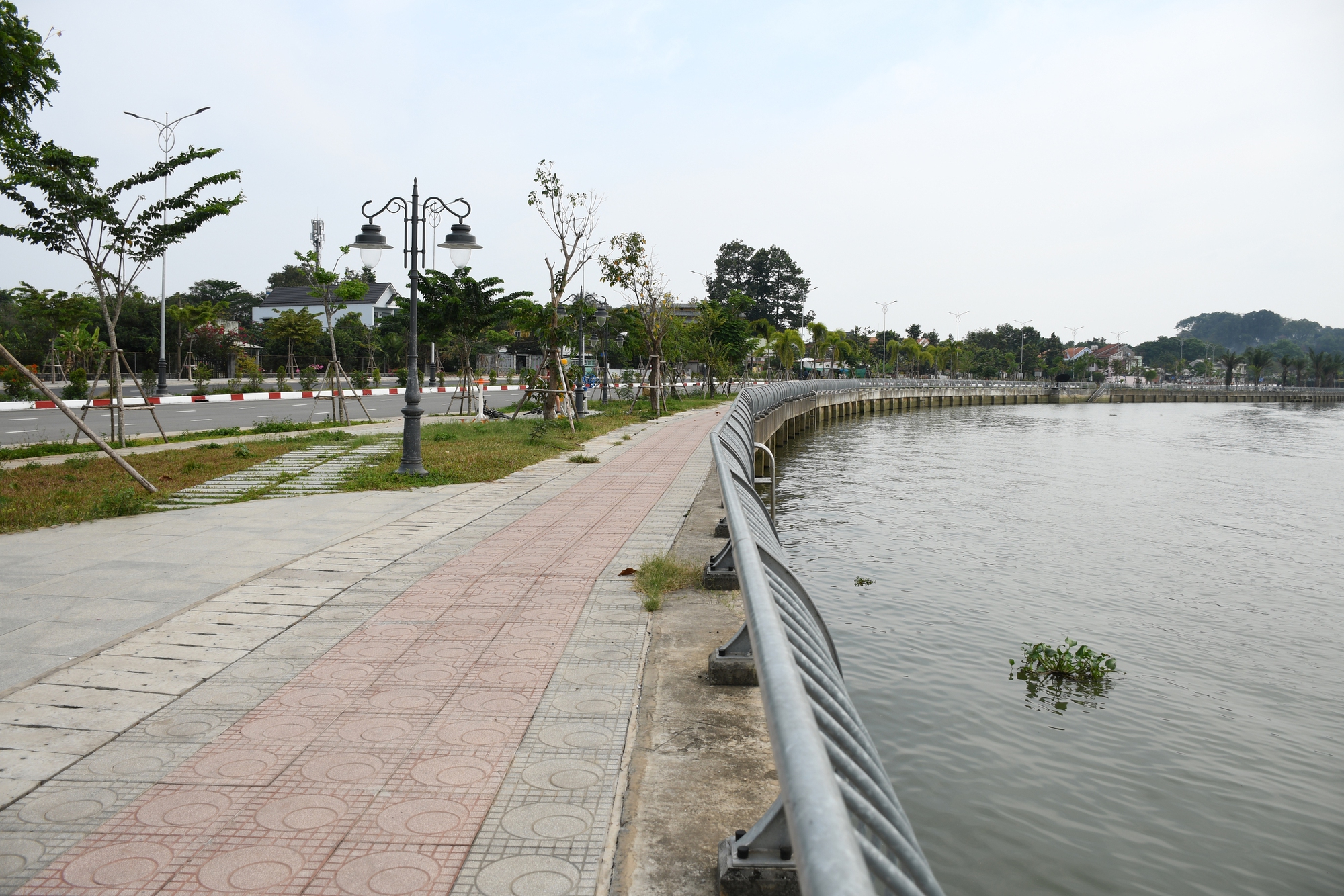 Cận cảnh con đường ven sông đẹp nhất Đồng Nai- Ảnh 3.