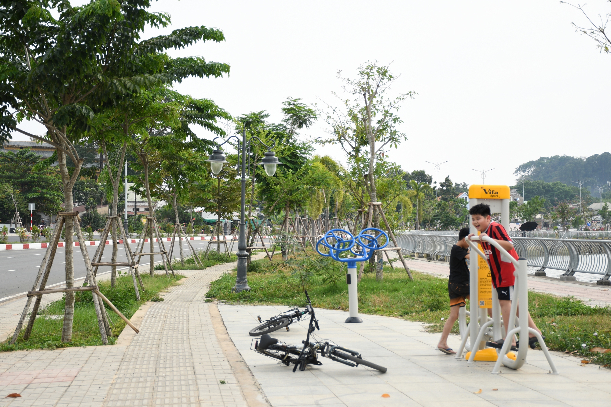 Cận cảnh con đường ven sông đẹp nhất Đồng Nai- Ảnh 5.