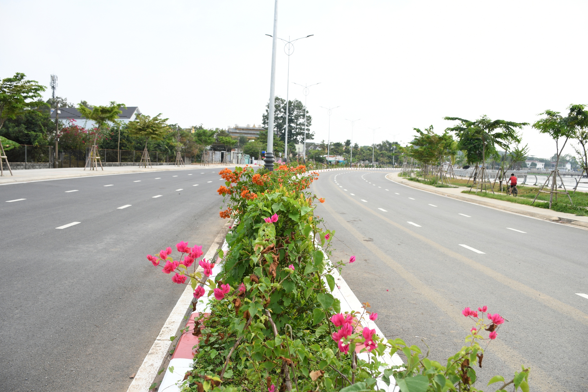 Cận cảnh con đường ven sông đẹp nhất Đồng Nai- Ảnh 4.