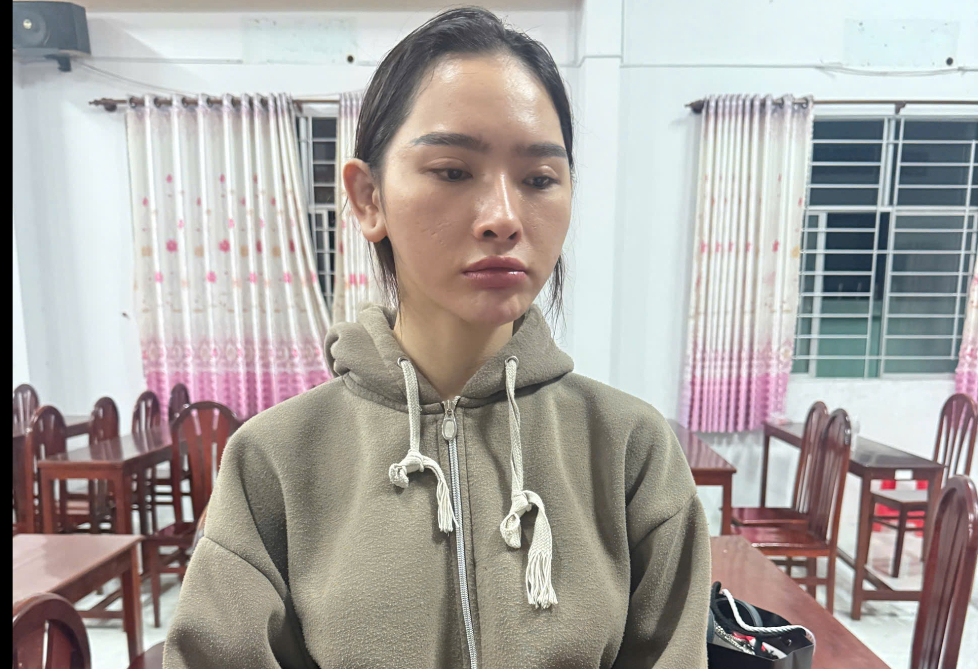 Bắt tạm giam cô gái trẻ Phạm Ngọc Mỹ Tiên- Ảnh 2.