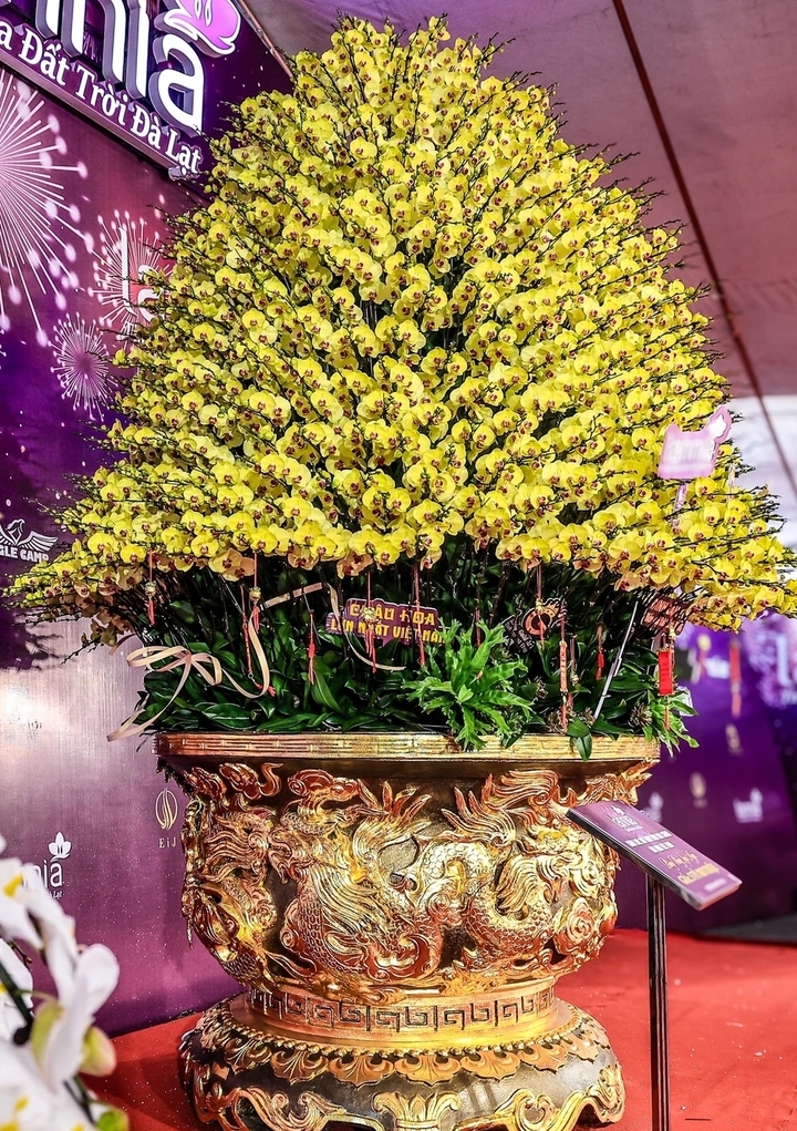 Những thú chơi xa xỉ ngày Tết của đại gia Việt- Ảnh 4.