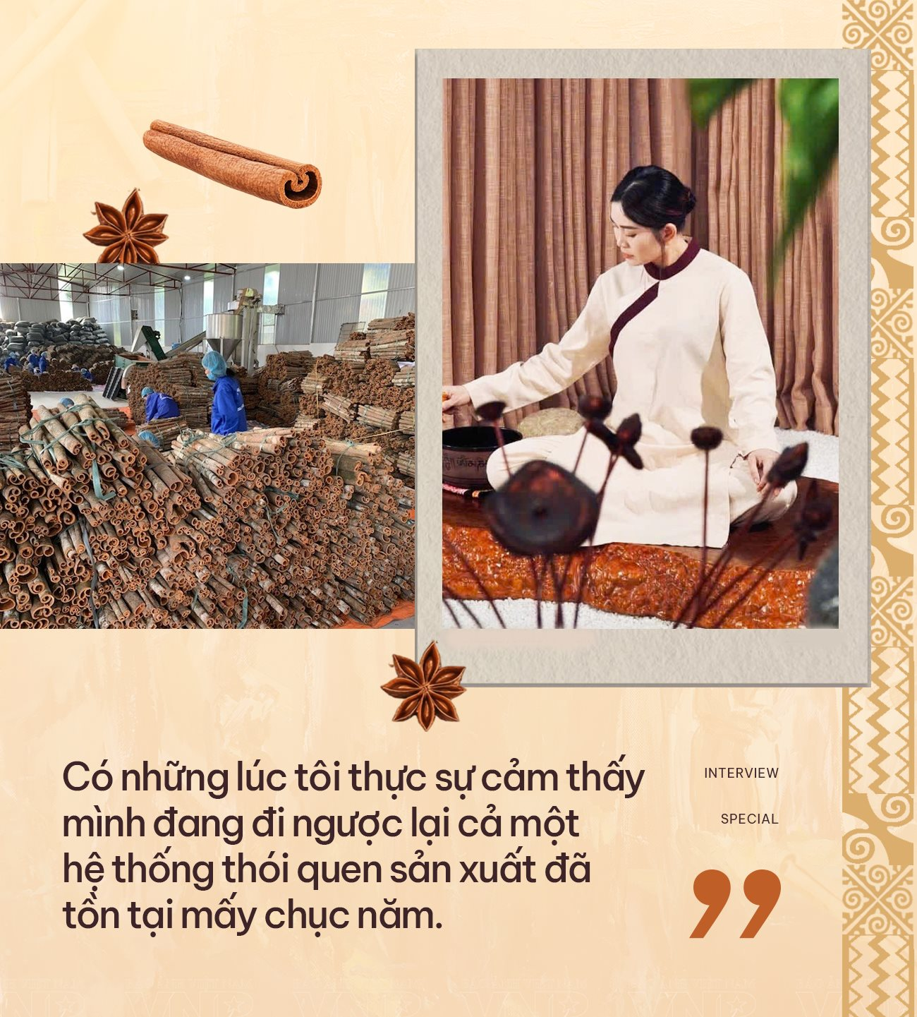 Bị gọi là “điên” vì làm hữu cơ, CEO Vinasamex Nguyễn Thị Huyền bắt tay nông dân nâng thu nhập lên 120-150 triệu đồng/ha quế hồi, nuôi tham vọng IPO- Ảnh 8.