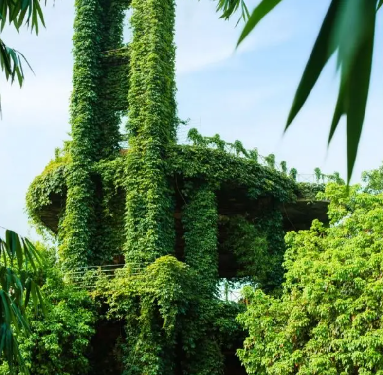 Đại gia chi tiền khủng mua mảnh đất rộng 30.000m2 để xây “công trình để đời”: Hơn 20 năm vẫn chưa hoàn thành- Ảnh 4.