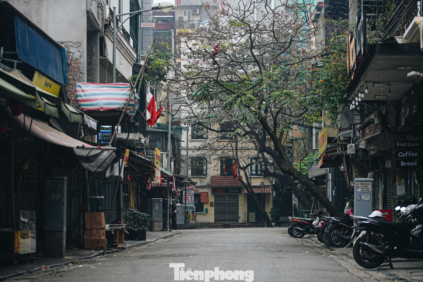 Vẻ đẹp hiếm có của Hà Nội trong buổi sáng đầu năm- Ảnh 25.