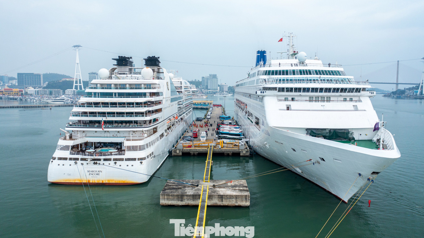 Tàu biển quốc tế chở gần 2.400 khách du lịch Quảng Ninh mùng 1 Tết- Ảnh 13.