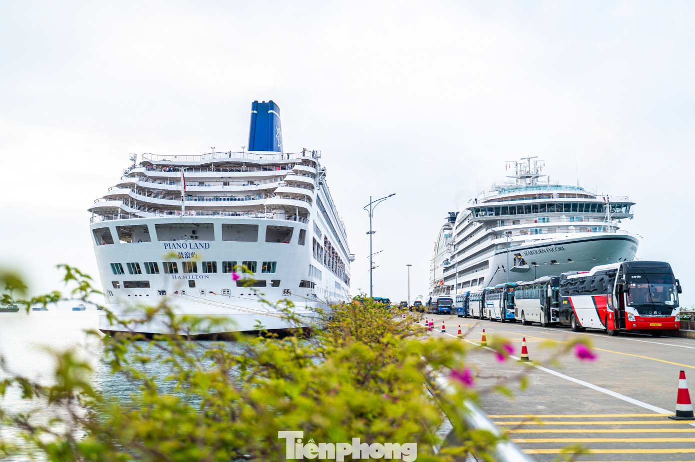 Tàu biển quốc tế chở gần 2.400 khách du lịch Quảng Ninh mùng 1 Tết- Ảnh 4.