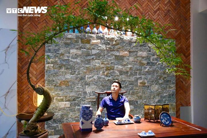 ‘Hô biến’ gốc tre thành tác phẩm bonsai độc đáo- Ảnh 1.