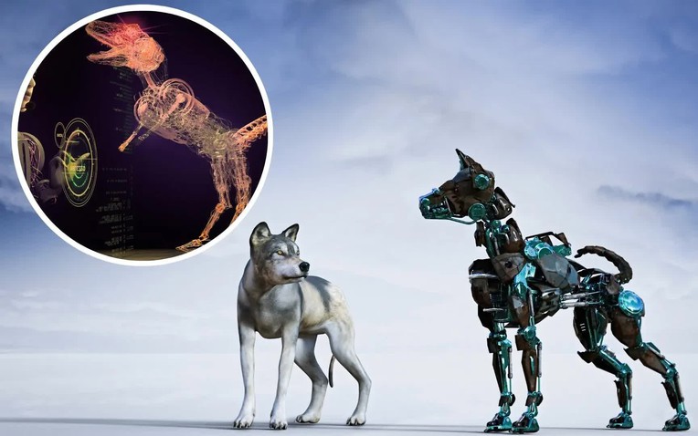 Kỳ tích công nghệ: Trí tuệ nhân tạo tự phát triển thị giác cho sinh vật ảo giống hệt quá trình tiến hóa tự nhiên- Ảnh 1.