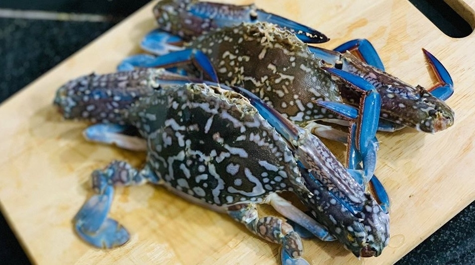 Sản vật biển của Việt Nam tạo "cơn sốt" tại Mỹ, đơn hàng áp đảo thị trường- Ảnh 1.