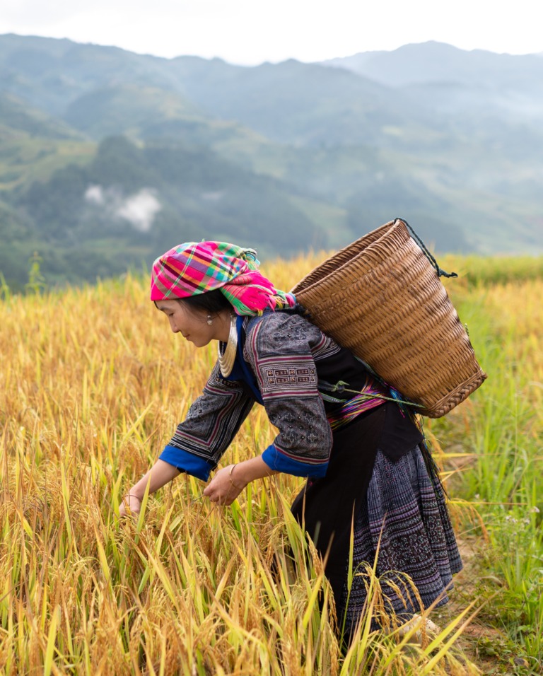 "Hầm tận thế" mở cửa: Việt Nam đã gửi gì?- Ảnh 1. "Hầm tận thế" mở cửa: Việt Nam đã gửi gì?- Ảnh 1.
