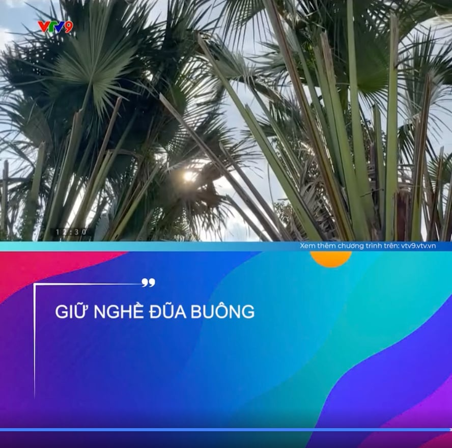 Đũa Buông: Loại đũa đang "hot" rần rần vì độ quý và độ bền hiếm có- Ảnh 1.