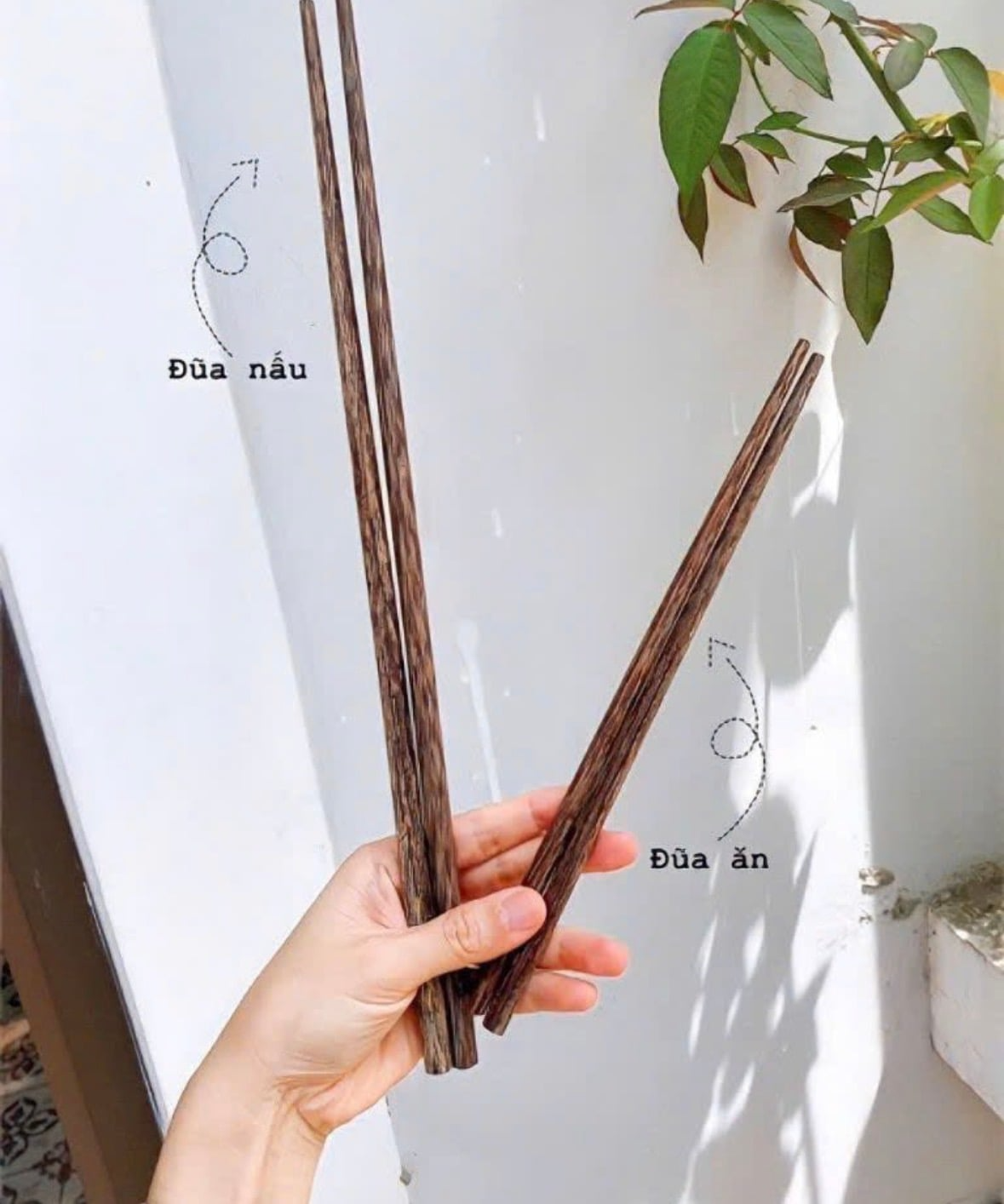 Đũa Buông: Loại đũa đang "hot" rần rần vì độ quý và độ bền hiếm có- Ảnh 4.