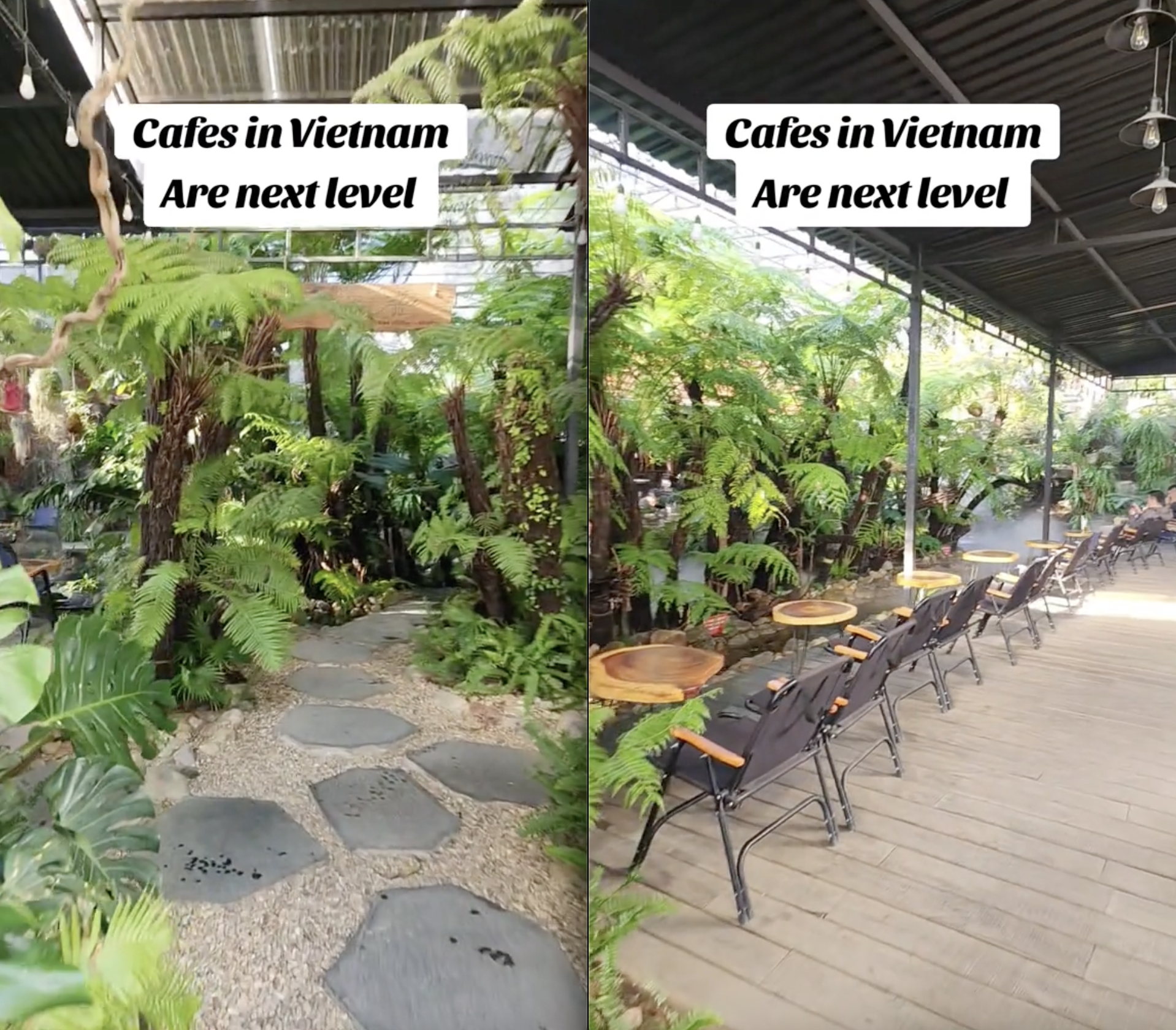 Khách Tây đứng hình khi mua cốc cà phê 40.000 đồng ở Việt Nam mà được dẫn vào rừng- Ảnh 2.