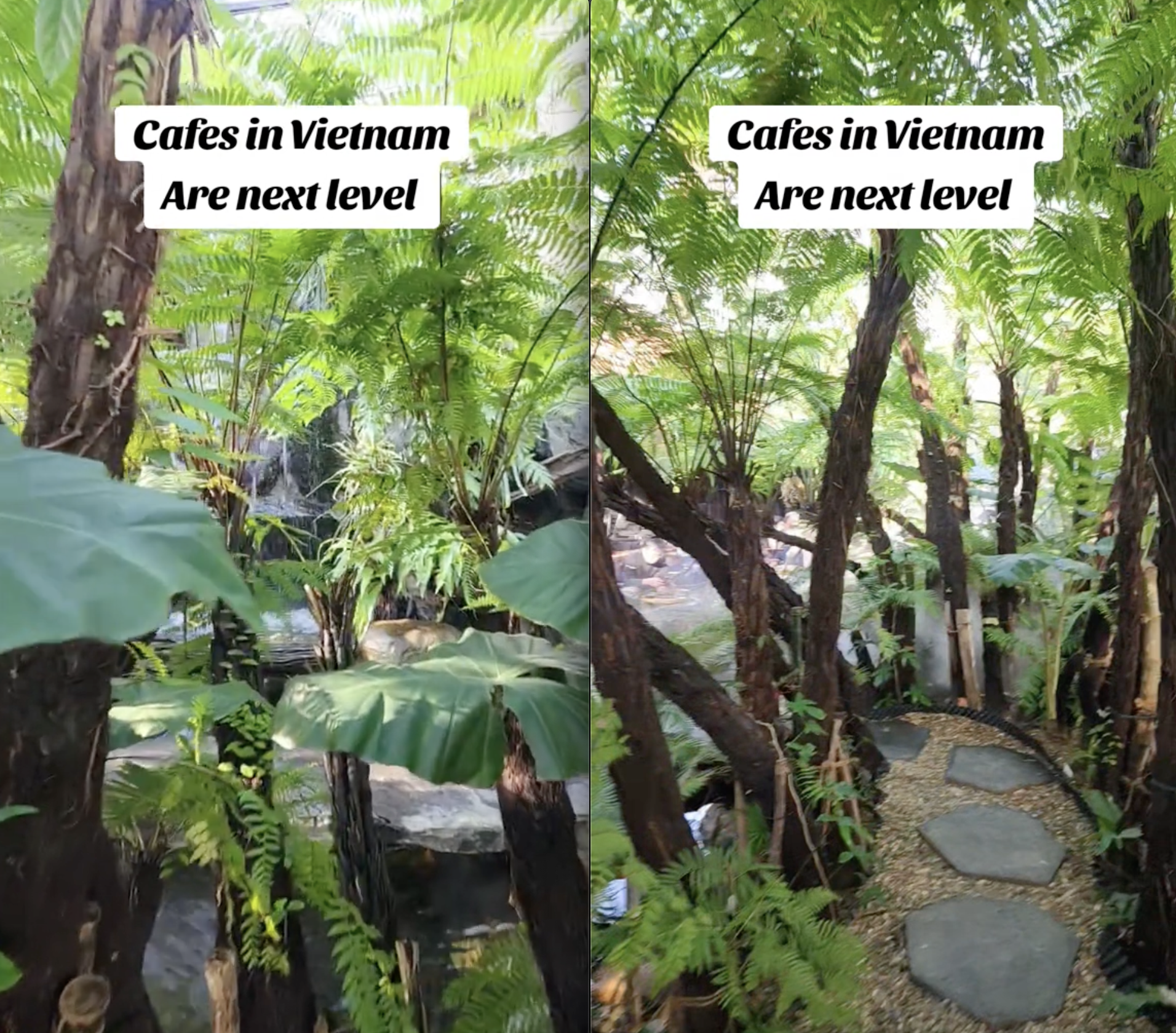 Khách Tây đứng hình khi mua cốc cà phê 40.000 đồng ở Việt Nam mà được dẫn vào rừng- Ảnh 3.