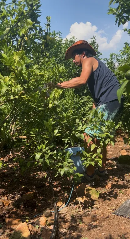 photo-1770001291424 photo-1770001291424