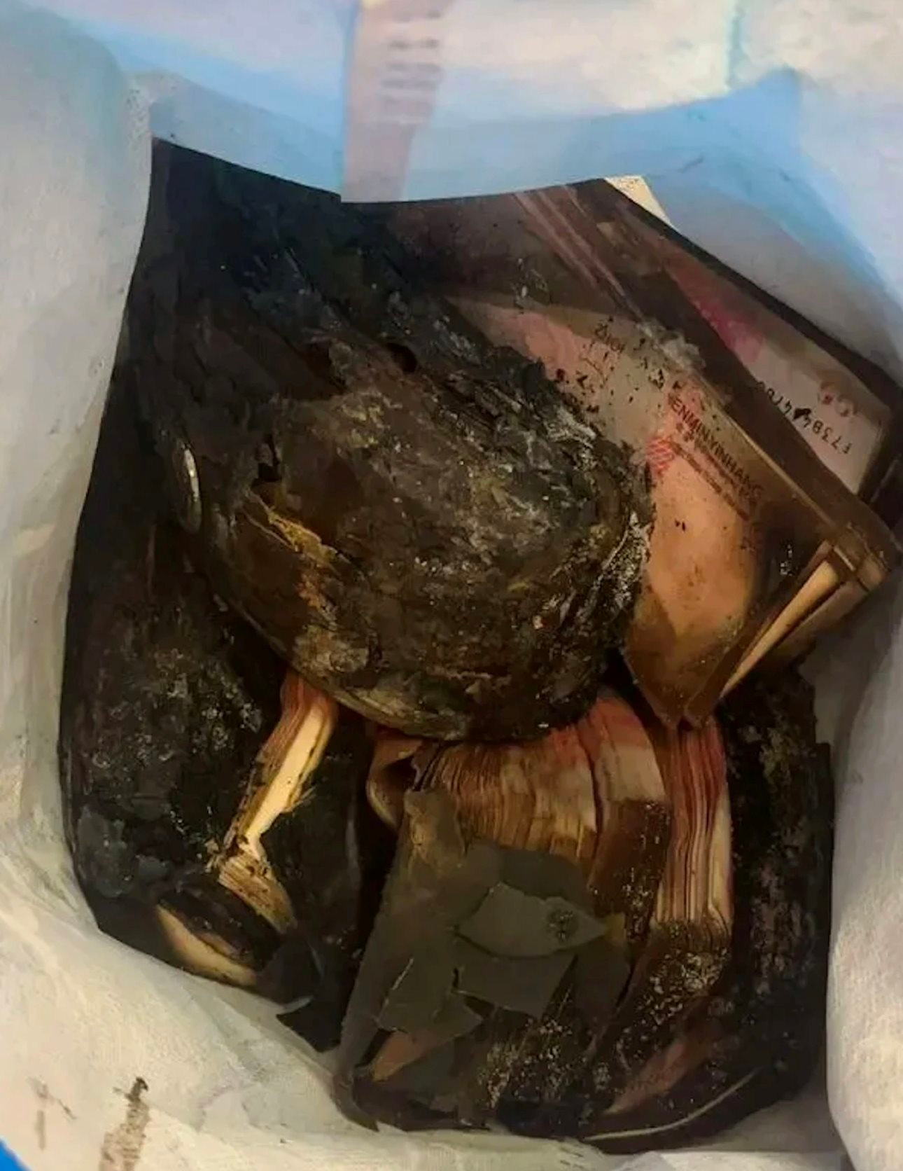 Gần 1,5 tỷ đồng tiền mặt bị cháy nghiêm trọng, cụ ông mang đến ngân hàng để đổi tiền mới: Bất ngờ với con số nhận lại- Ảnh 2.