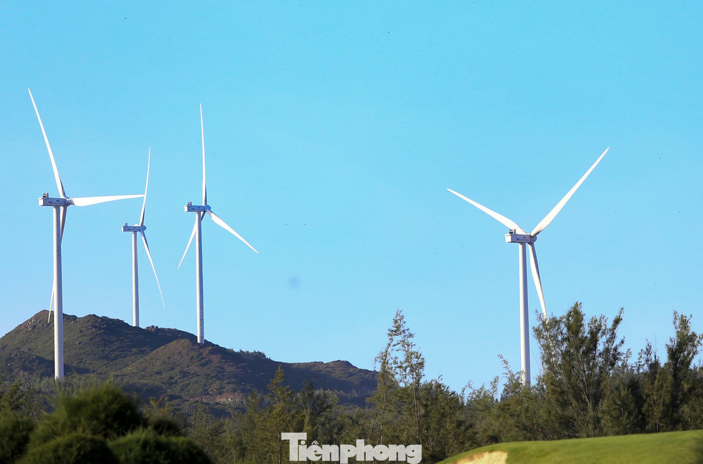 Gia Lai gọi vốn cho 12 dự án năng lượng tái tạo- Ảnh 1.