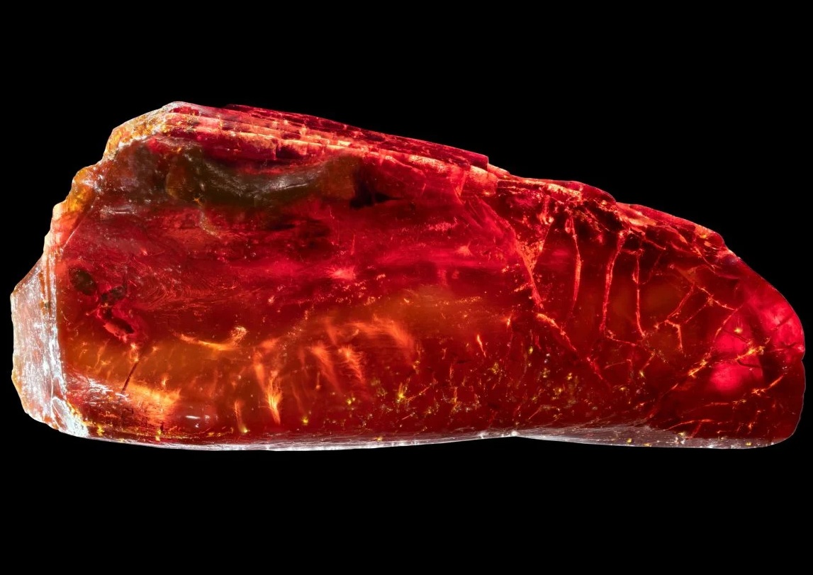 Sưu tập hổ phách, đại thi hào Đức "nhốt" sinh vật 40 triệu tuổi mà không hay - Ảnh 1.