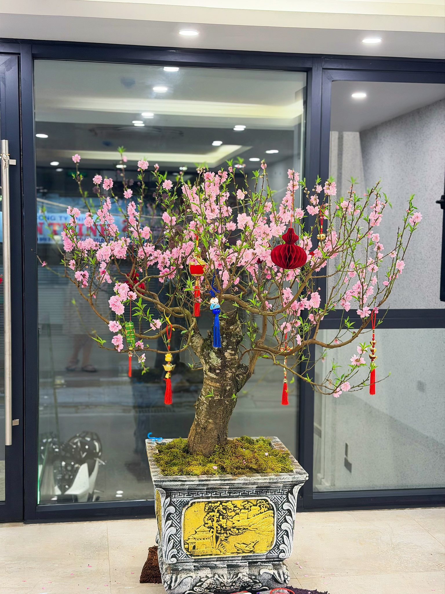 Cuộc sống của Duy Mạnh và vợ tiểu thư Hà thành trong cơ ngơi 5 tầng ở trung tâm phố cổ, netizen “chỉ biết ước”- Ảnh 4. Cuộc sống của Duy Mạnh và vợ tiểu thư Hà thành trong cơ ngơi 5 tầng ở trung tâm phố cổ, netizen “chỉ biết ước”- Ảnh 4.