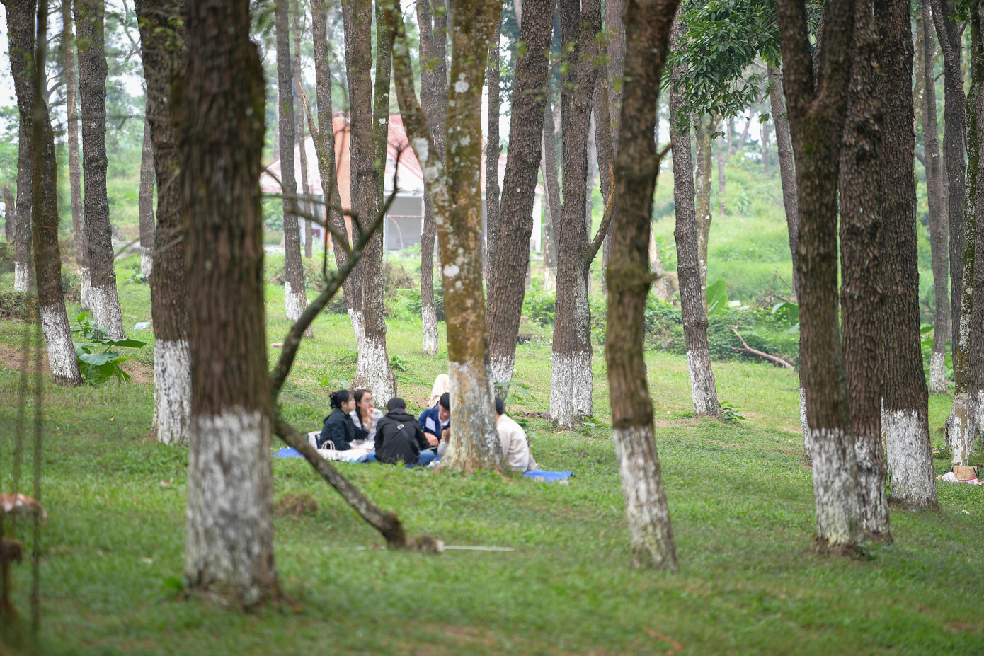 Những điểm cắm trại lý tưởng quanh Hà Nội dịp Tết- Ảnh 3.