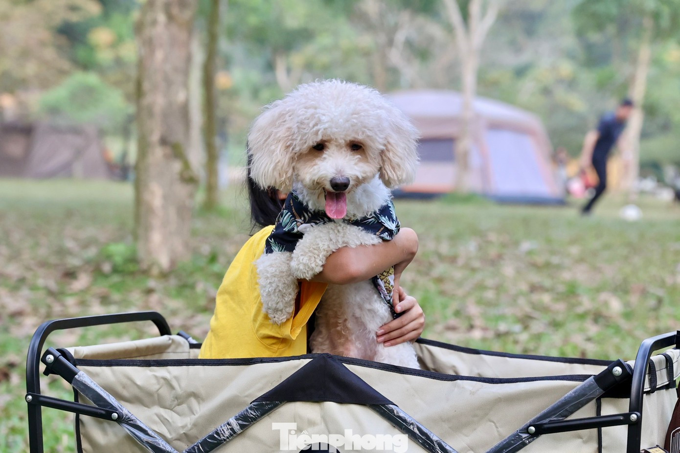 Những điểm cắm trại lý tưởng quanh Hà Nội dịp Tết- Ảnh 7.