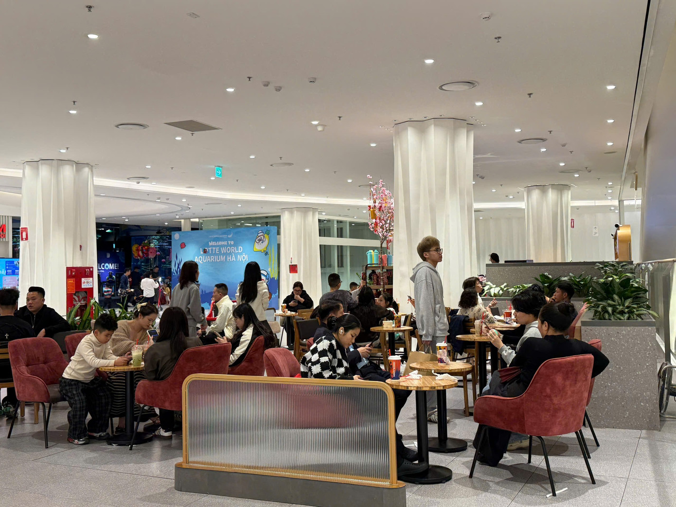 Hà Nội: Xếp hàng ăn phở, uống cà phê 'giải ngấy' ngày Tết- Ảnh 7.