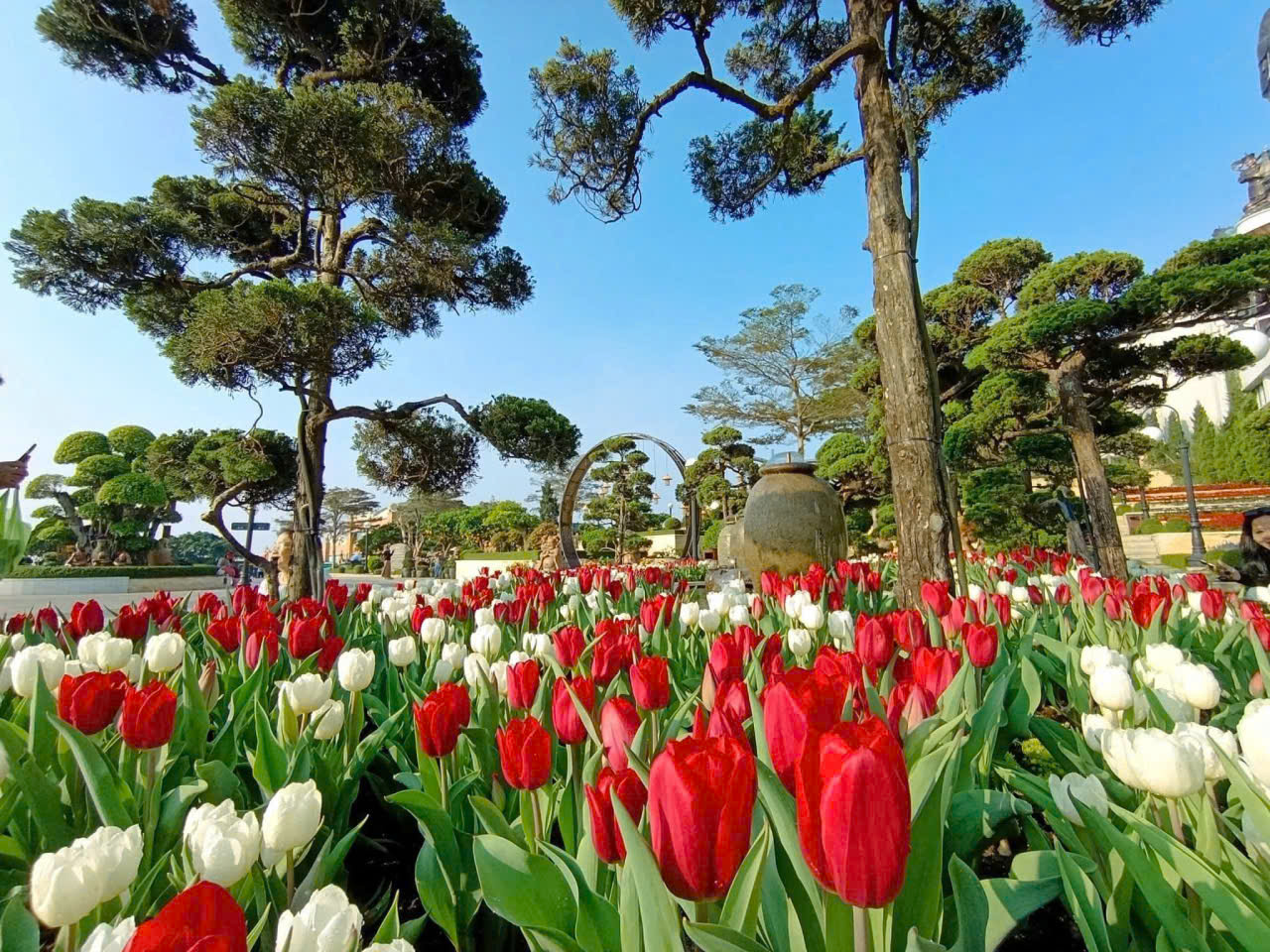 Núi Bà Đen đón lượng khách "khủng" trong 6 ngày Tết- Ảnh 4. Núi Bà Đen đón lượng khách "khủng" trong 6 ngày Tết- Ảnh 4.