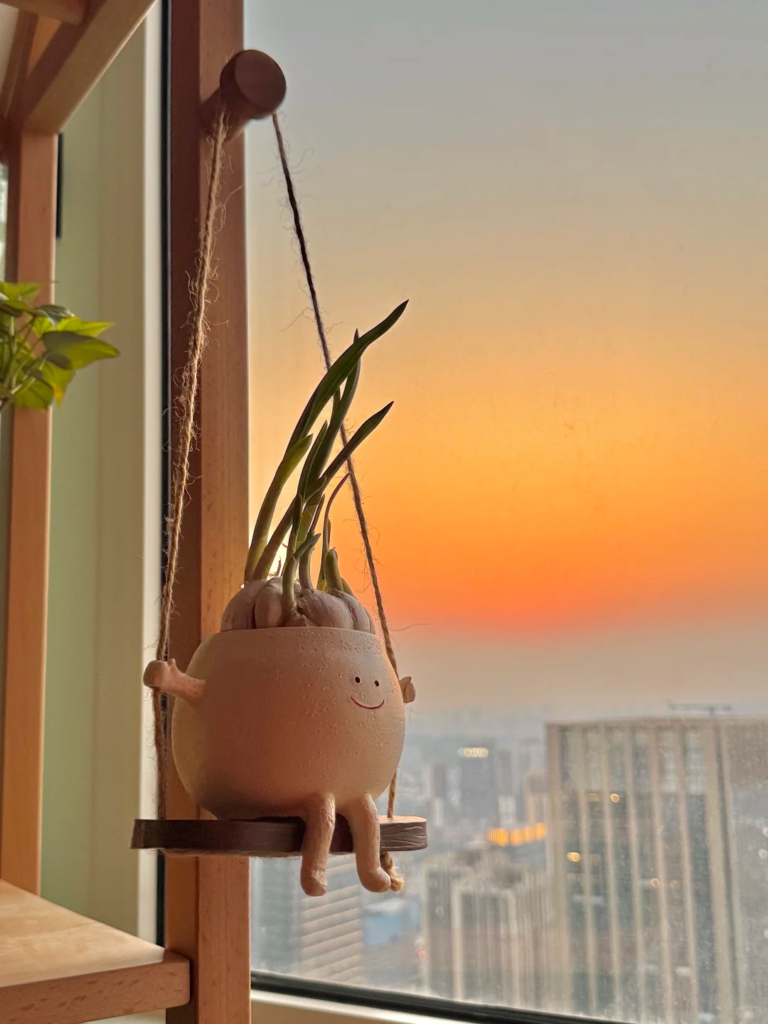 Từ chê “trồng rau là phong trào” đến nghiện thu hoạch: Lần đầu tôi hiểu vì sao người thành phố mê làm nông tại nhà- Ảnh 14.