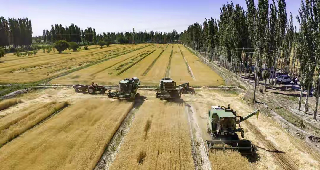 "Mỏ vàng" giữa lòng sa mạc: Quốc gia cạnh Việt Nam biến "biển tử thần" thành kho báu cho hơn 1,4 tỷ người- Ảnh 1.