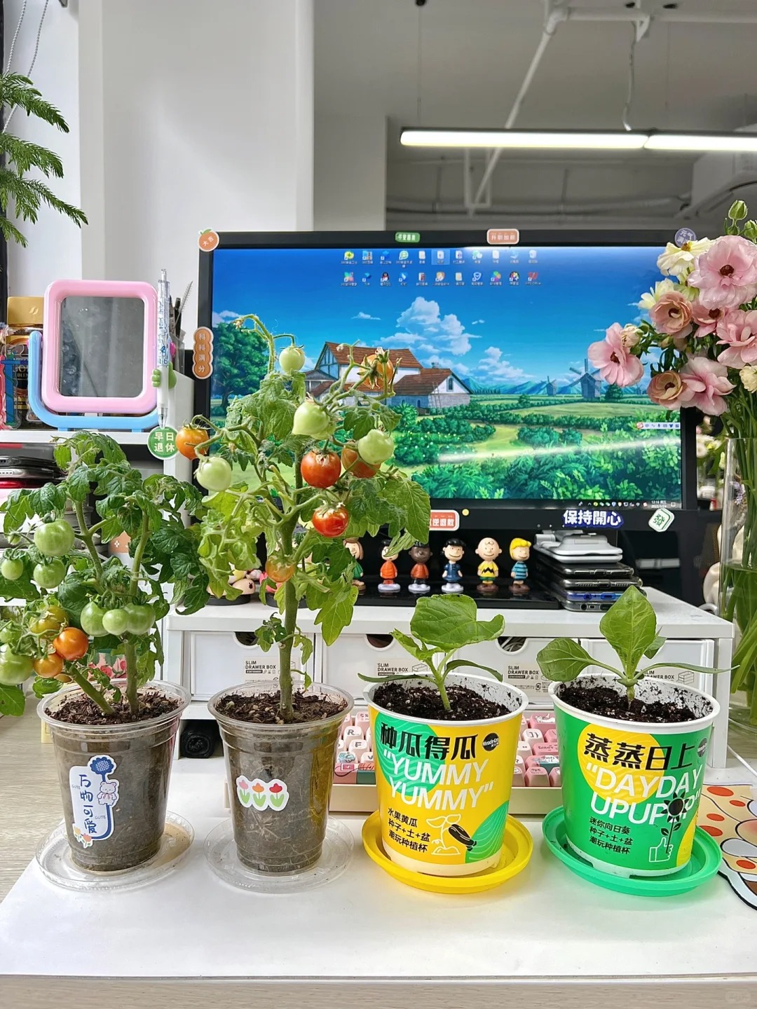 Từ chê “trồng rau là phong trào” đến nghiện thu hoạch: Lần đầu tôi hiểu vì sao người thành phố mê làm nông tại nhà- Ảnh 15.