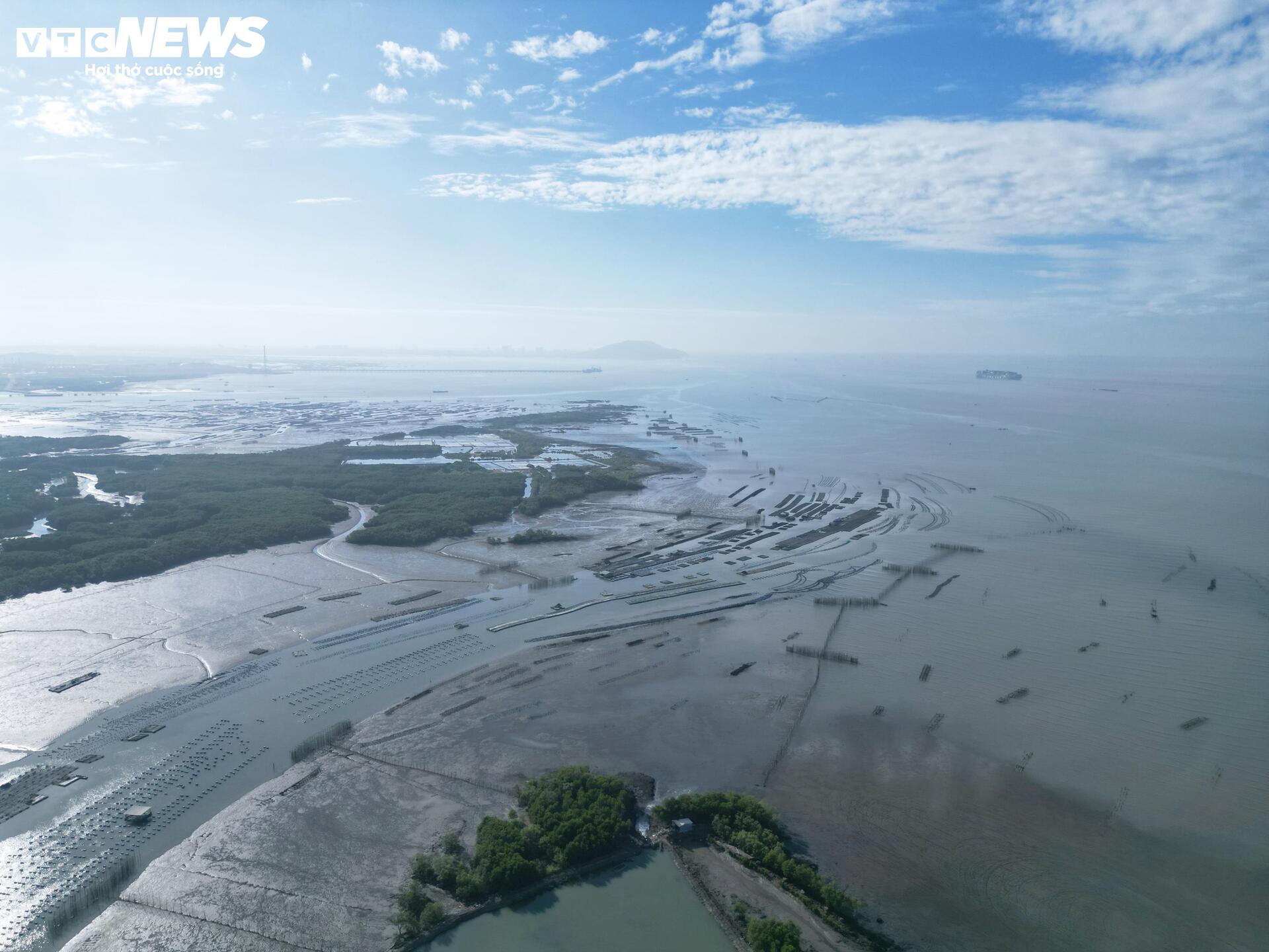 Cận cảnh dự án Cảng Cái Mép Hạ vừa được phê duyệt đầu tư gần 2 tỷ USD- Ảnh 7.