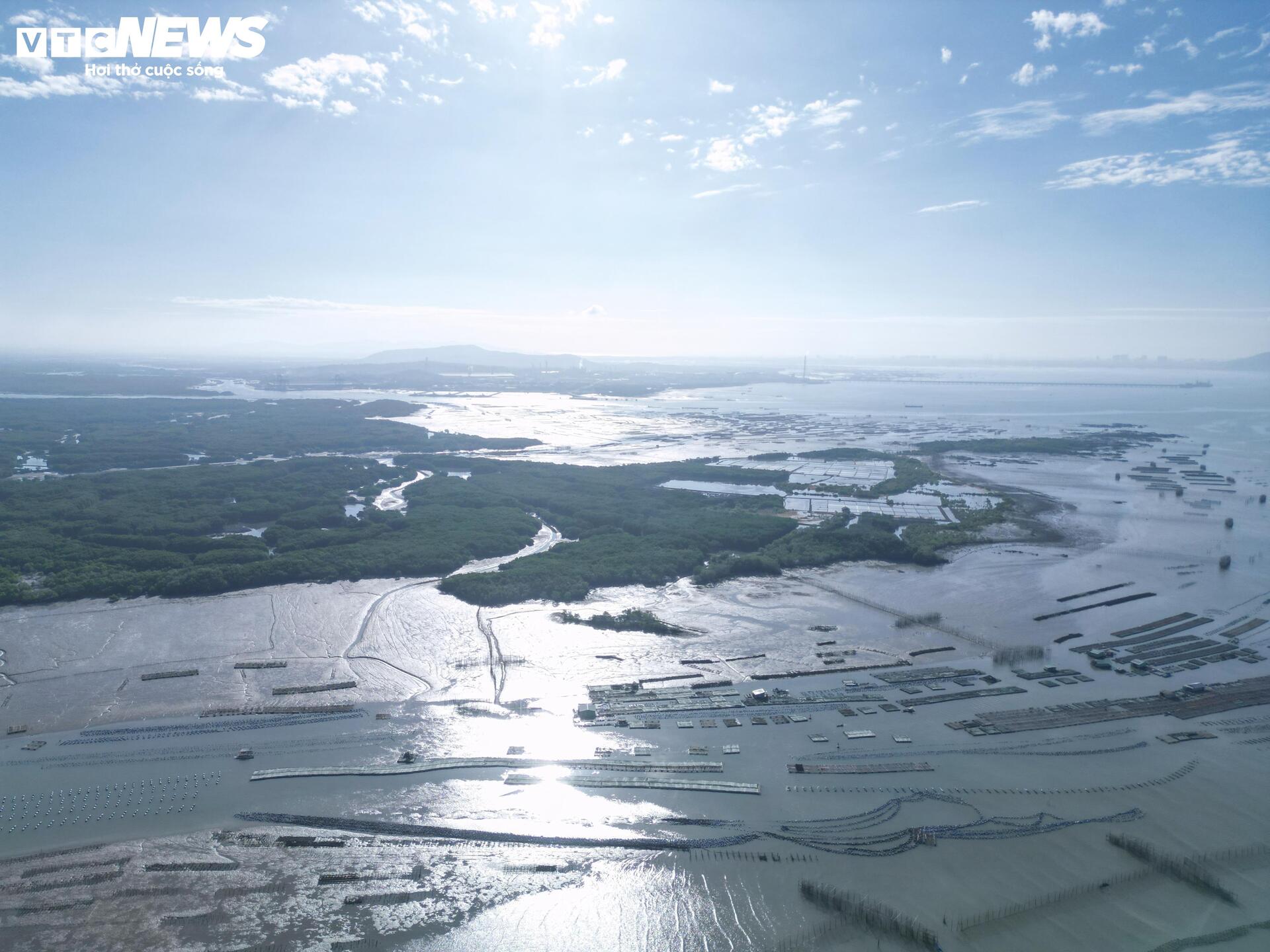 Cận cảnh dự án Cảng Cái Mép Hạ vừa được phê duyệt đầu tư gần 2 tỷ USD- Ảnh 9.