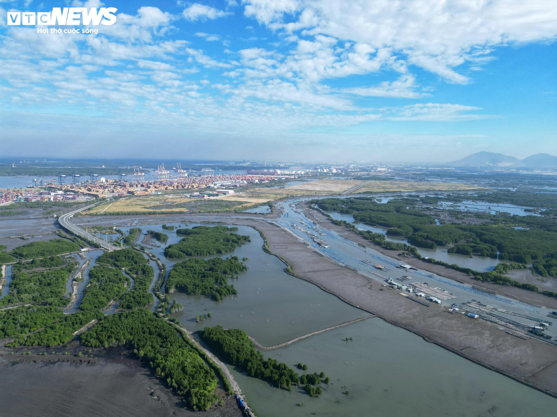 Cận cảnh dự án Cảng Cái Mép Hạ vừa được phê duyệt đầu tư gần 2 tỷ USD- Ảnh 11.
