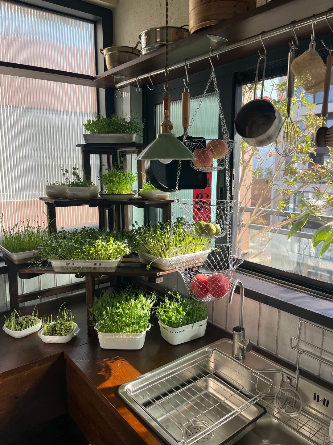 Từ chê “trồng rau là phong trào” đến nghiện thu hoạch: Lần đầu tôi hiểu vì sao người thành phố mê làm nông tại nhà- Ảnh 10.